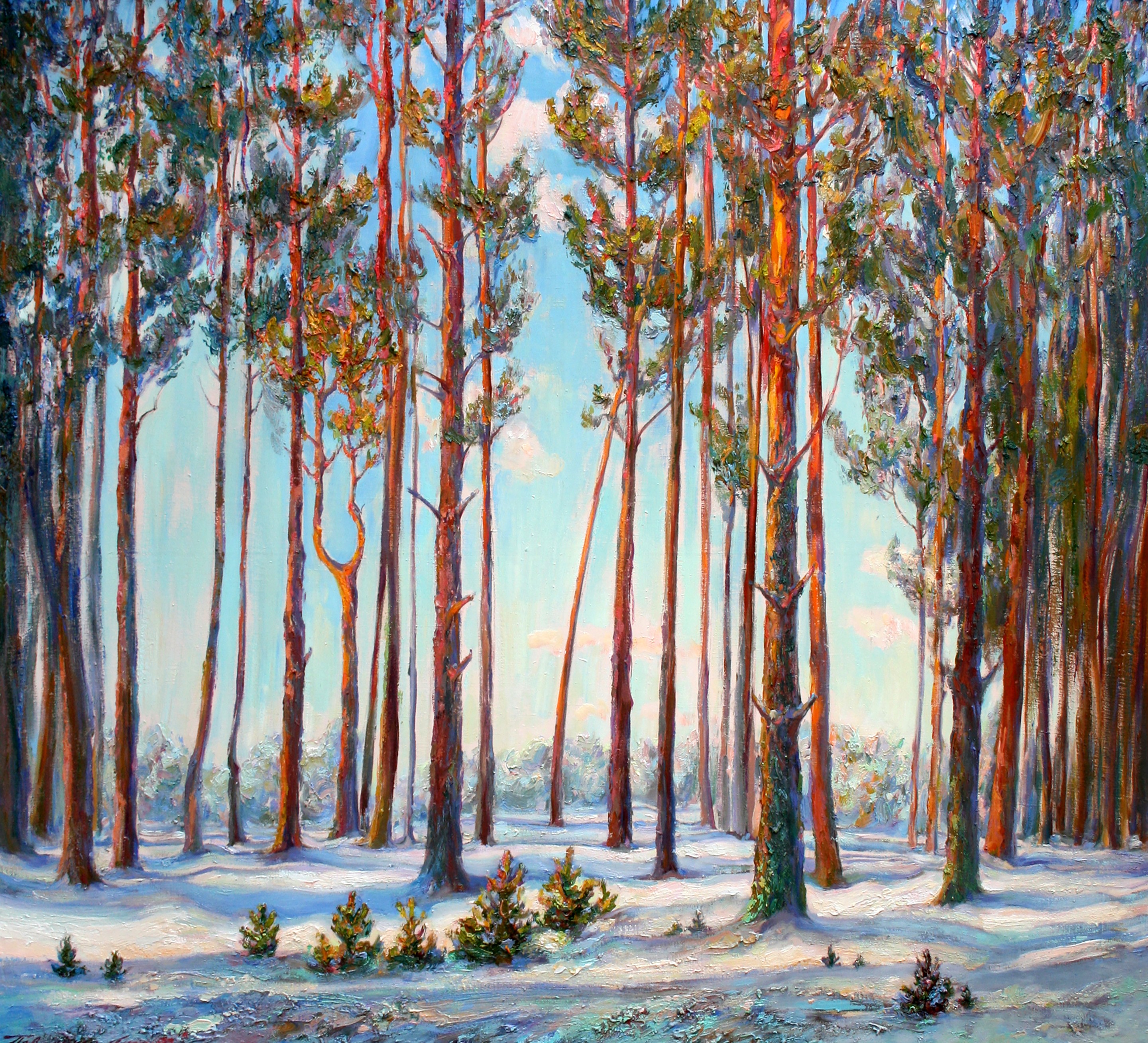 Pavlenko Leonid, Pine Forest Pavlenko Leonid, Pine Forest
