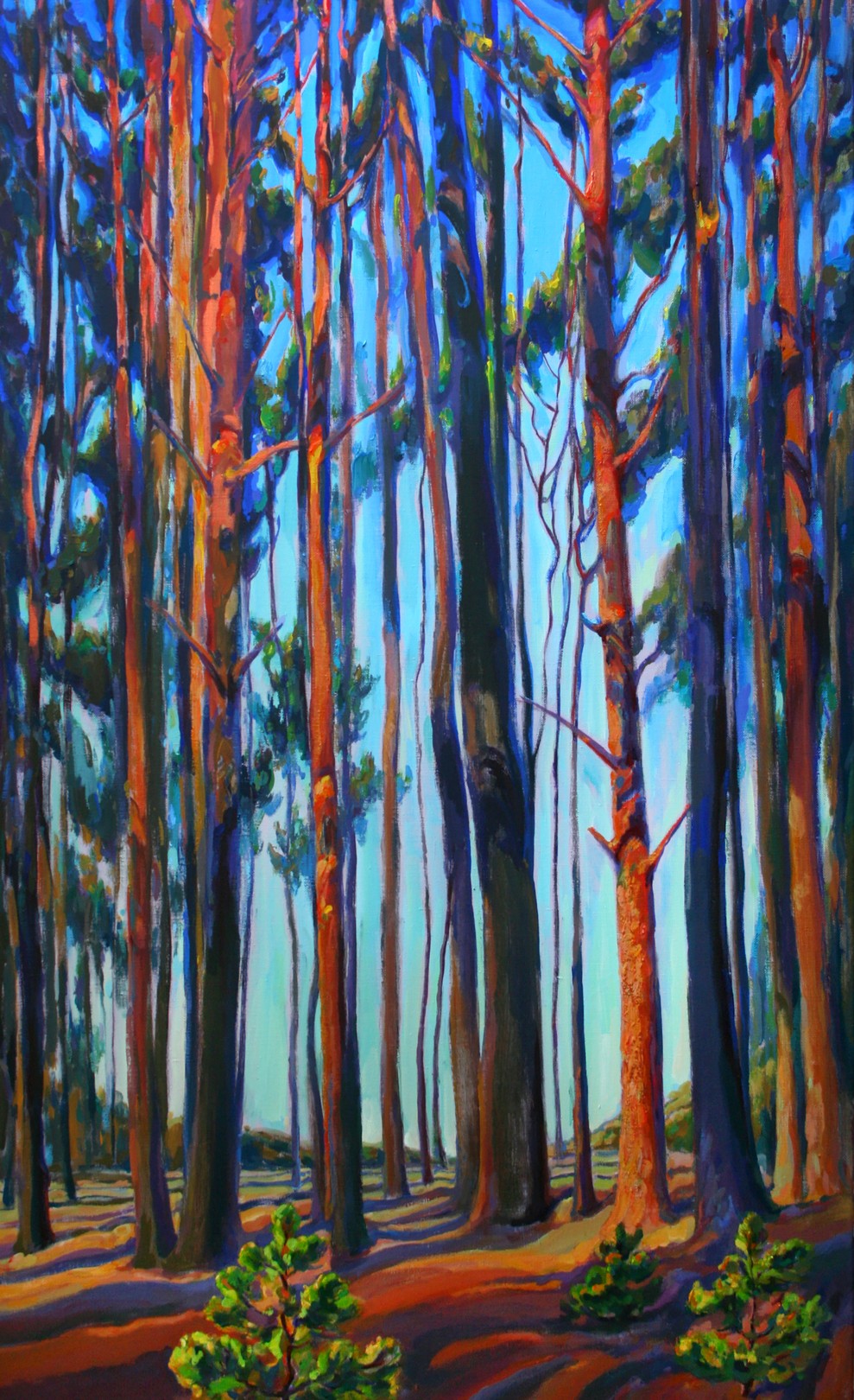 Pavlenko Leonid, Pine Forest in Summer Pavlenko Leonid, Pine Forest in Summer