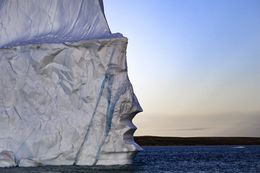 Photography, Ice Face, Olivier Morin