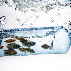 Photographie, Message in the bottle, Olivier Morin