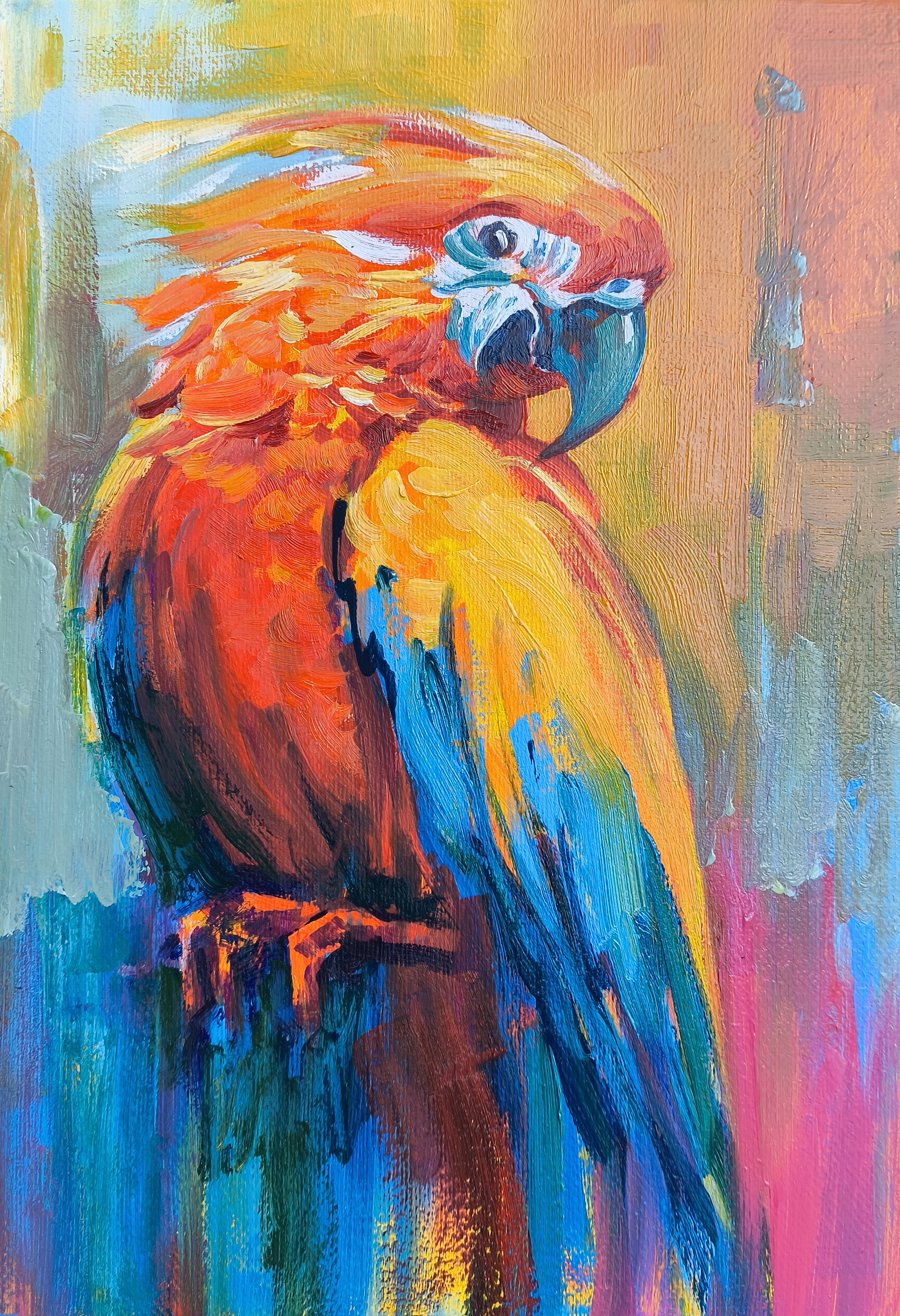 Narek Qochunc, Colors of the Wild Narek Qochunc, Colors of the Wild