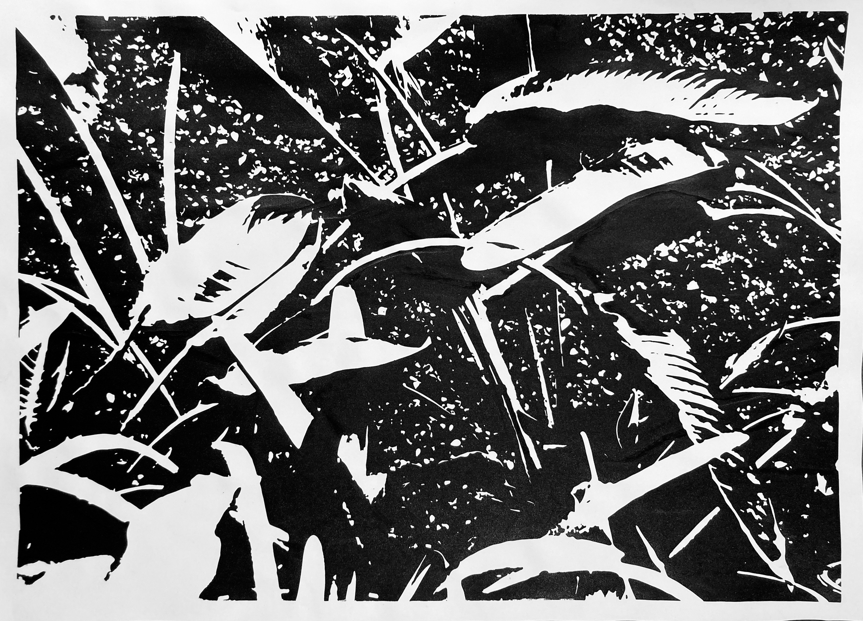 Gergana Tabakova, Digital Gardens 6 Gergana Tabakova, Digital Gardens 6