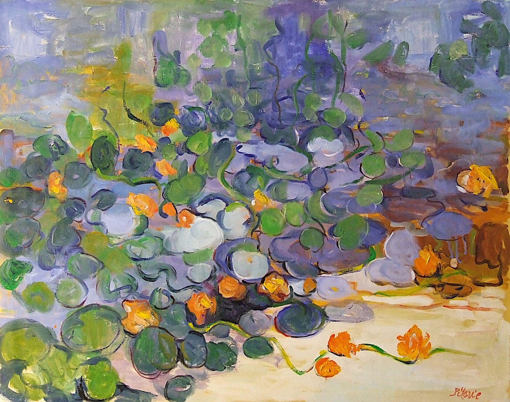 Patrick Marie, Les capucines Patrick Marie, Les capucines