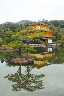 Photography, The Golden Temple - Limited Edition, Arantza NT Photography