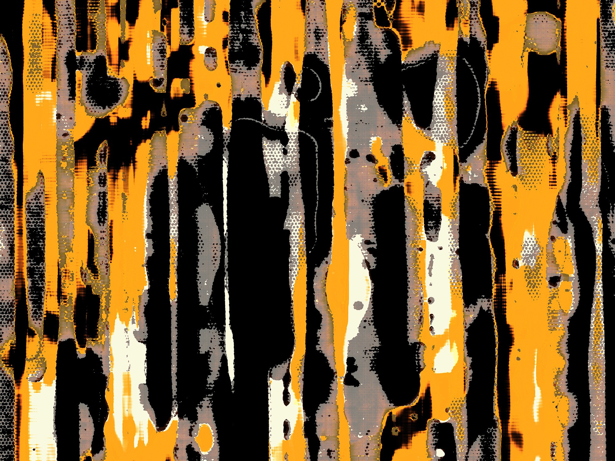 Petr Strnad, Strata #13 Petr Strnad, Strata #13