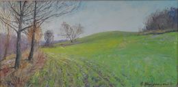 Painting, Cherkasy region. spring, Mishurovsky Victor