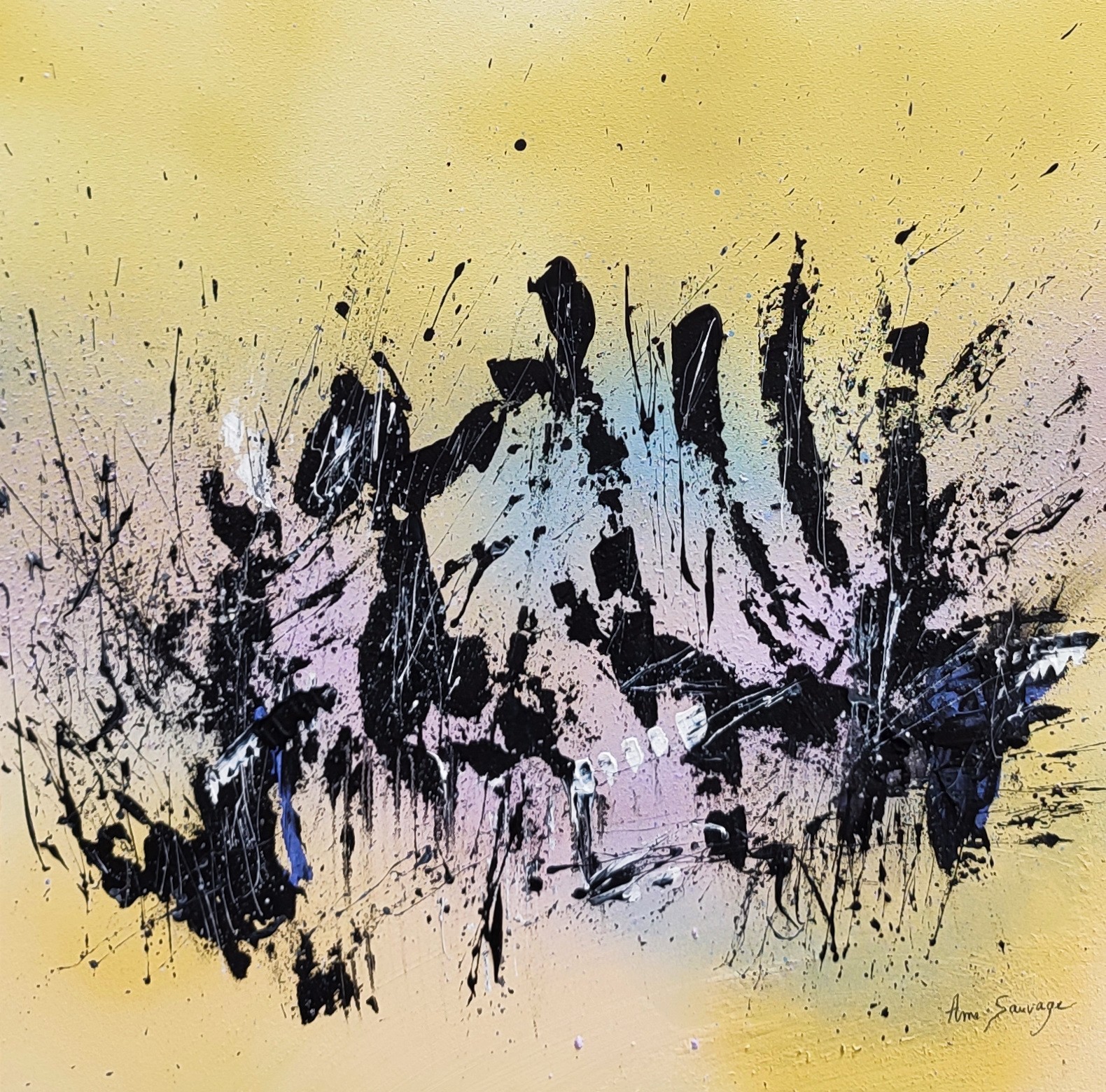 Âme Sauvage, Ombres et lumières Âme Sauvage, Ombres et lumières
