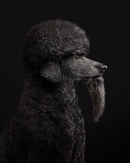 Photographie, CeeLo No. 2 (S), Randal Ford