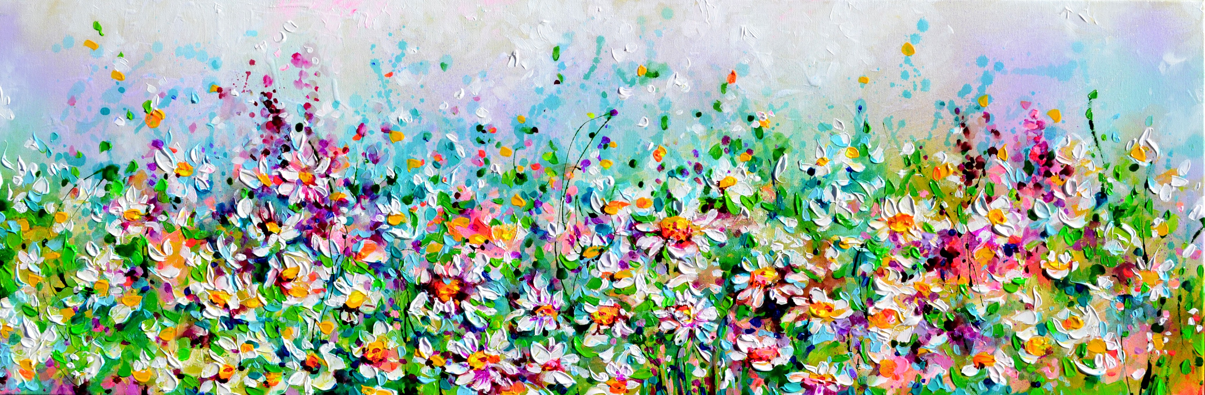 Soos Roxana, White Daisy - Wild Daisies Field Soos Roxana, White Daisy - Wild Daisies Field