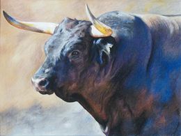 Fine Art Drawings, Light and resilience, Karina Lara