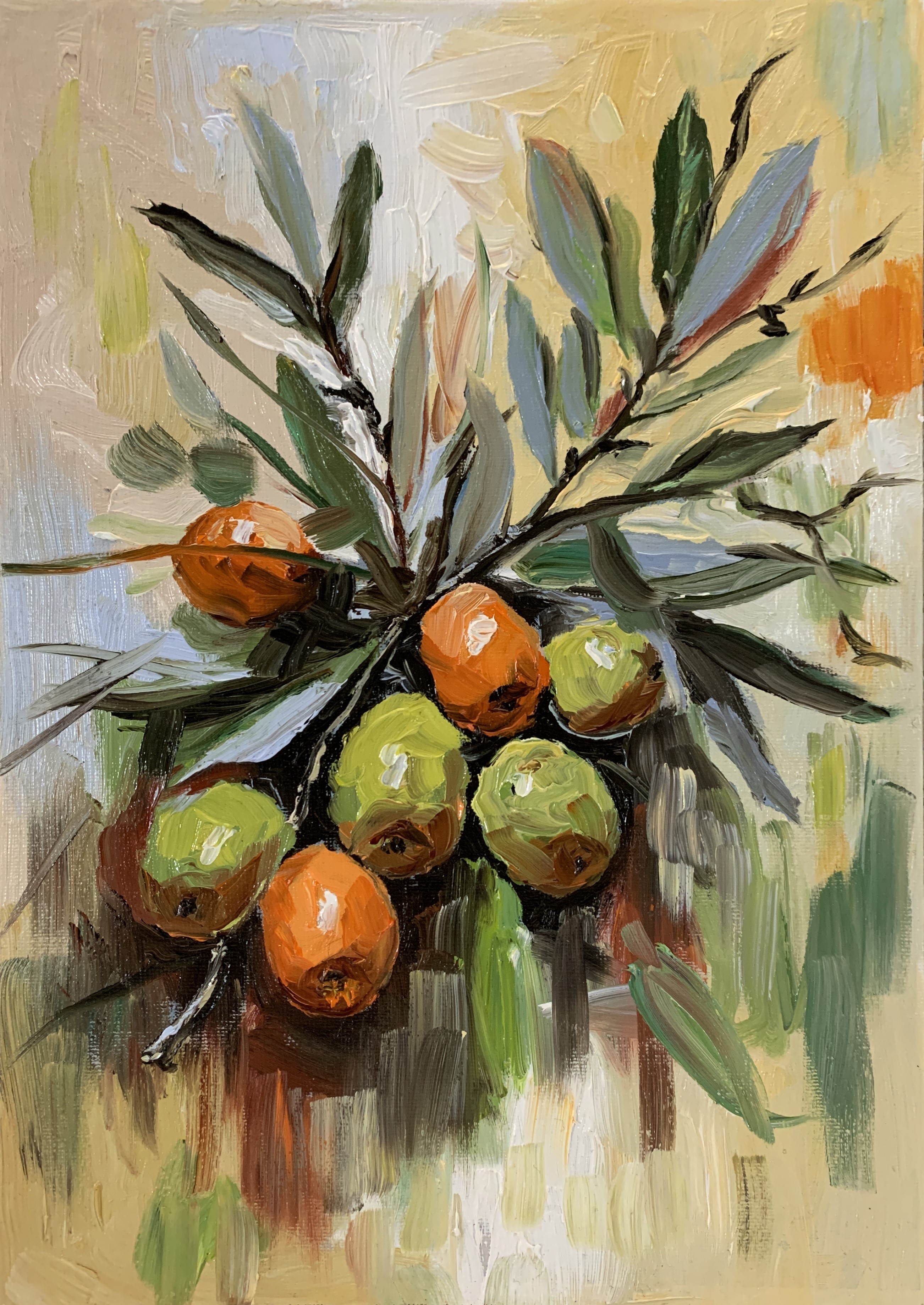 Schagen Vita, Olive branch Schagen Vita, Olive branch