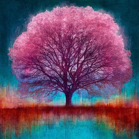 Print, Blossom Lace (N50.9963 E0.2792), Mark Munroe-Preston