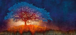 Print, Embracing Twilight (N51.9825 W1.7164), Mark Munroe-Preston