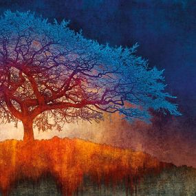 Print, Embracing Twilight (N51.9825 W1.7164), Mark Munroe-Preston