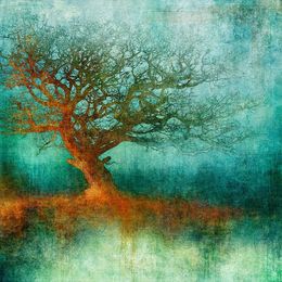 Print, Orange Glow (N50.9582 E0.1593), Mark Munroe-Preston