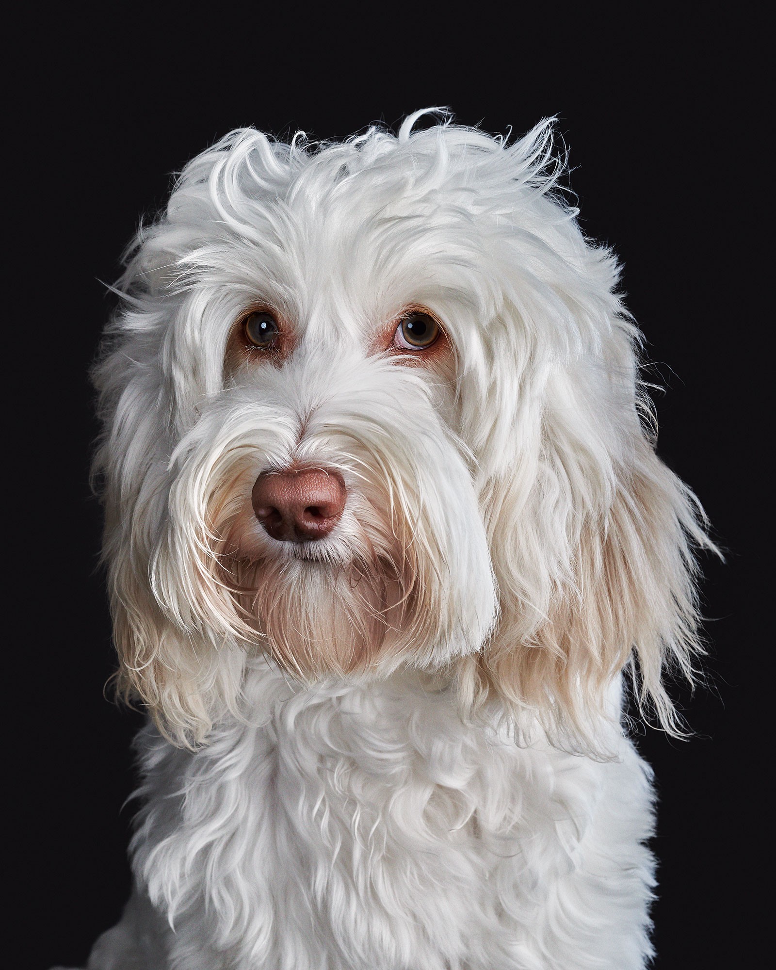 Randal Ford, Lila (M) Randal Ford, Lila (M)