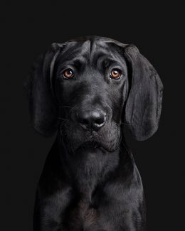 Photographie, Raúl (M), Randal Ford
