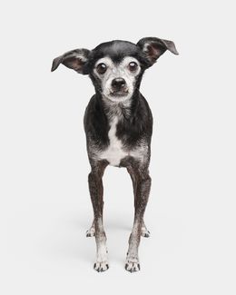 Photographie, Riley (M), Randal Ford