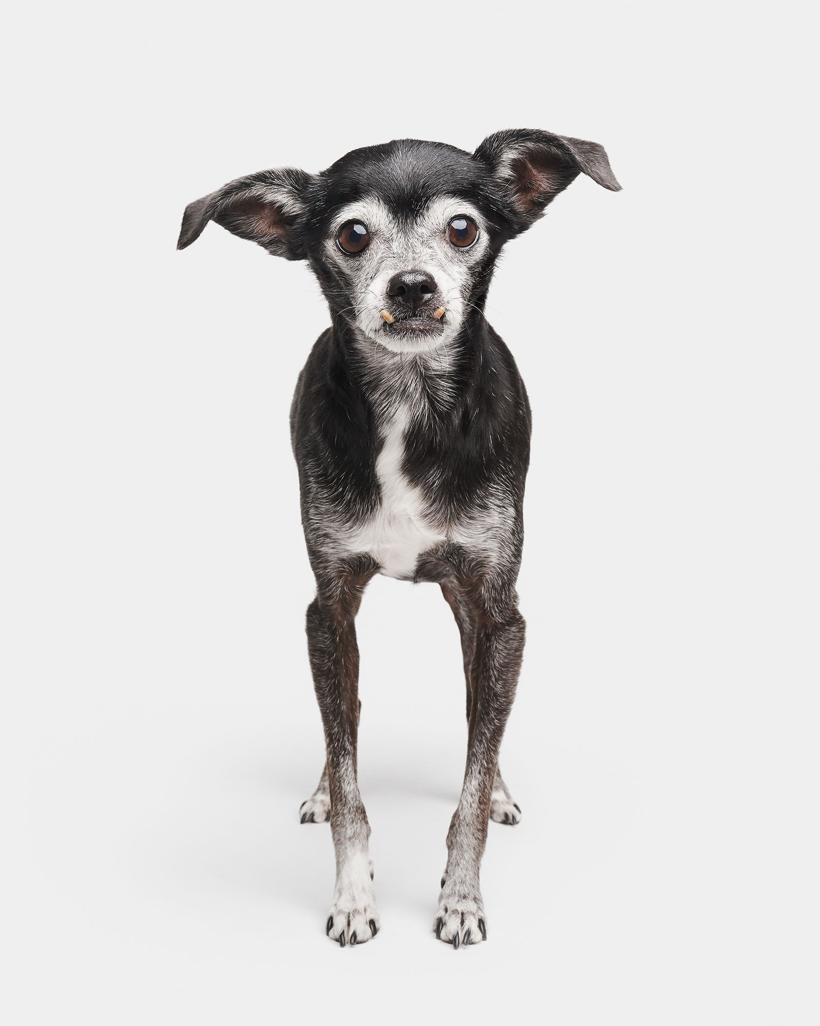 Randal Ford, Riley (M) Randal Ford, Riley (M)