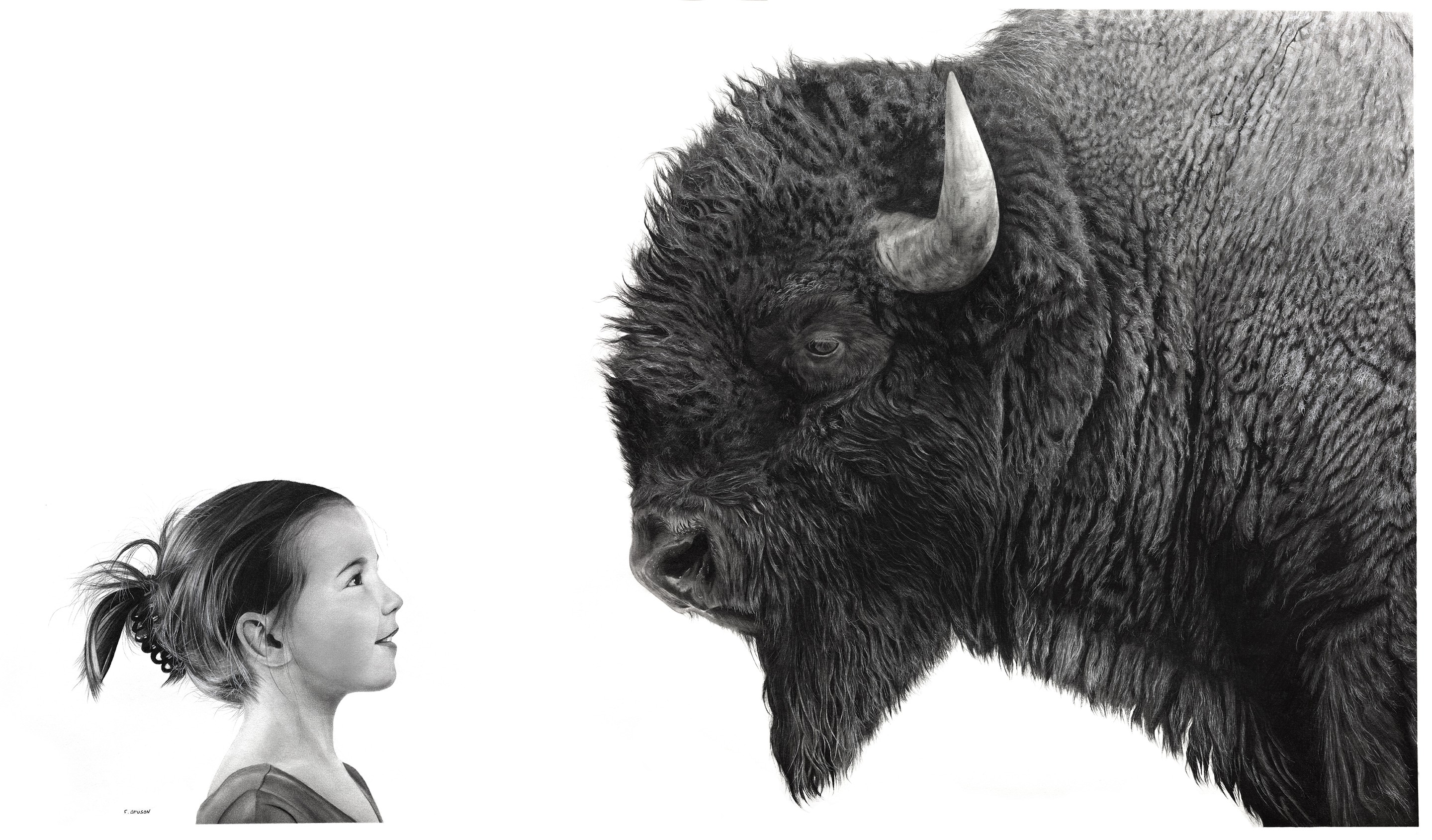 François Gruson, Bison François Gruson, Bison