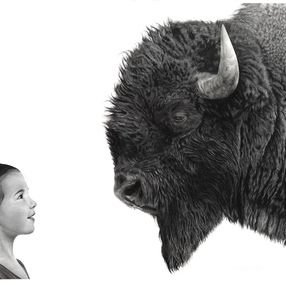 Fine Art Drawings, Bison, François Gruson