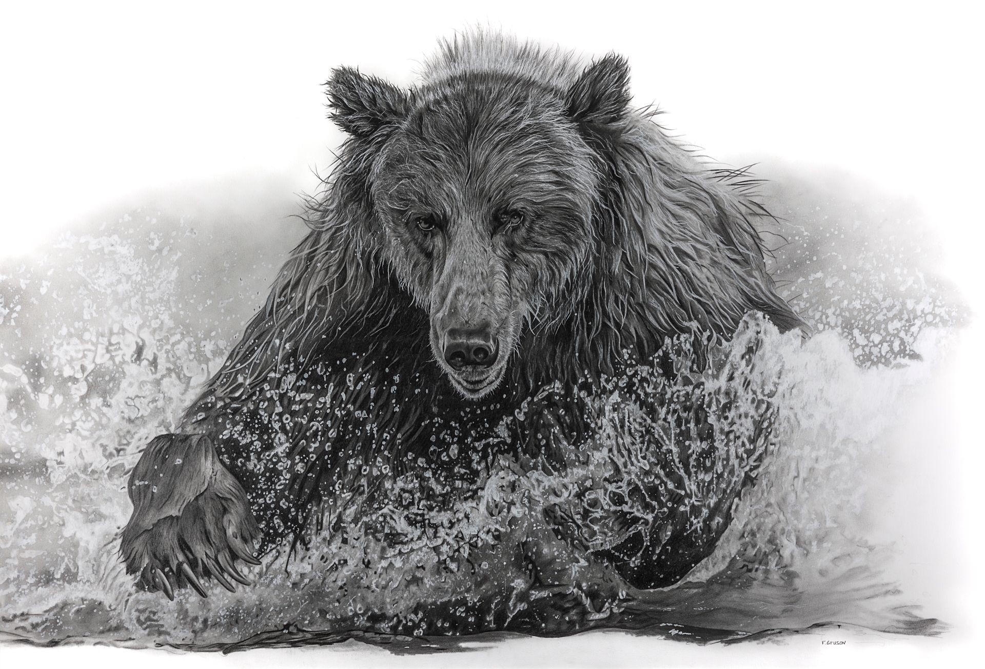 François Gruson, Ours François Gruson, Ours