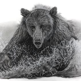 Zeichnungen, Ours, François Gruson