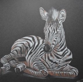 Fine Art Drawings, Zebra, Farid Saâdi