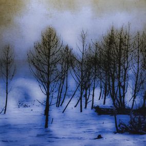 Photography, Tempête à l'embellie - Paysage de Nature de Charente-Maritime, Dominique Cahier