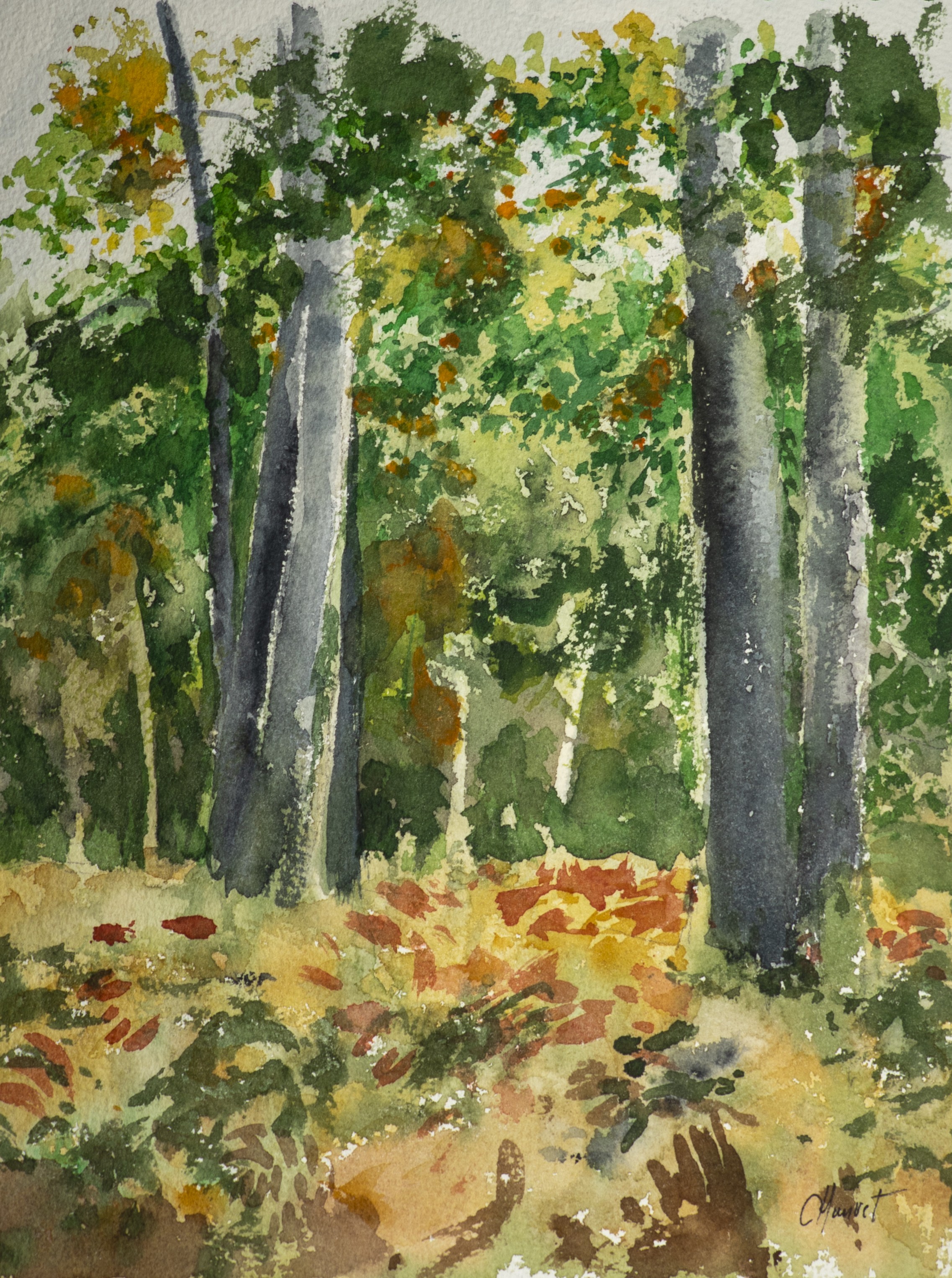 François Chauvet, Sous bois François Chauvet, Sous bois