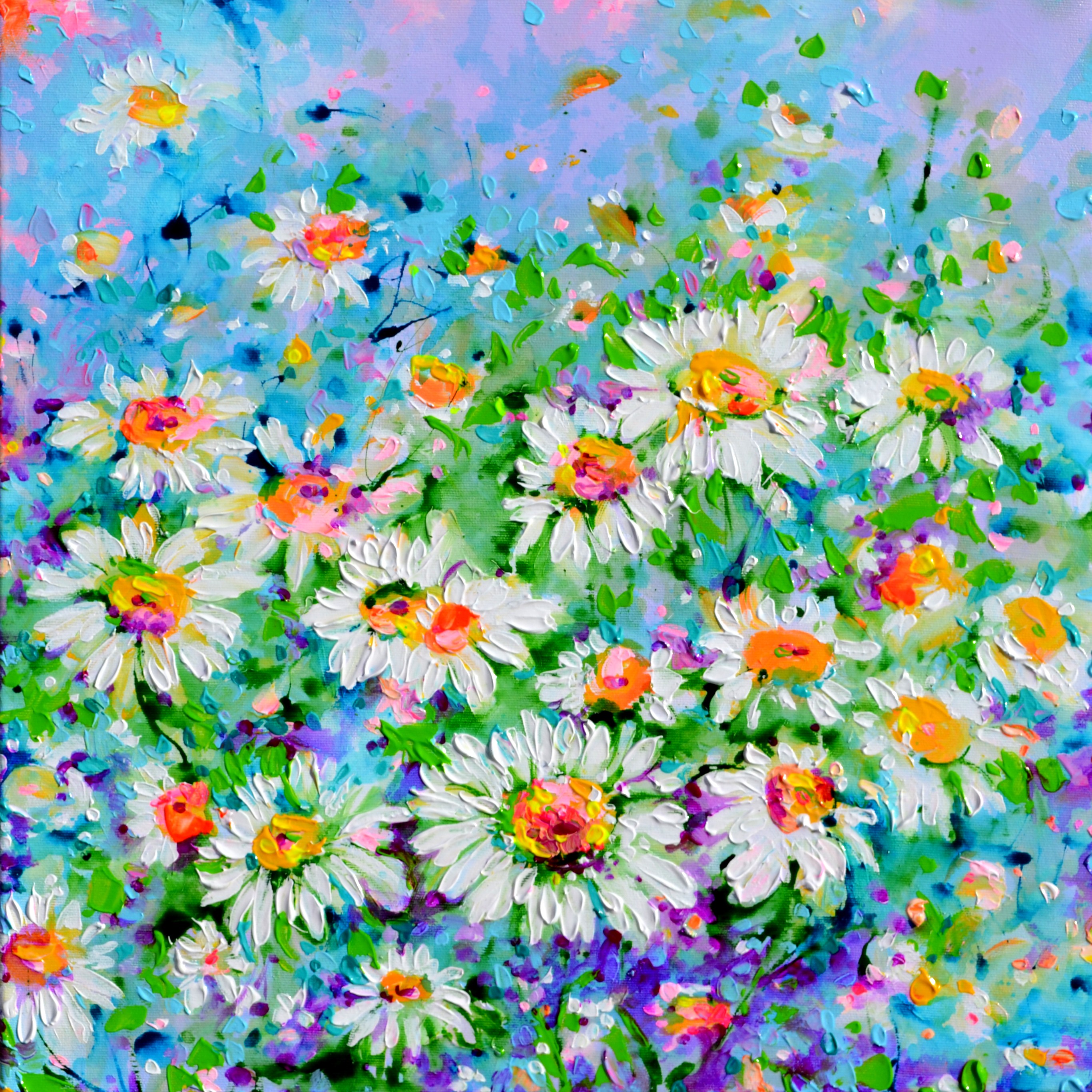 Soos Roxana, White Daisies, Daisy Field Soos Roxana, White Daisies, Daisy Field