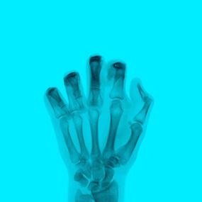 Photography, The Bird in Colour No 7 BL, Nick Veasey