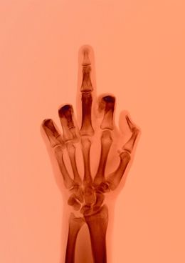 Photography, The Bird in Colour No 8 BM, Nick Veasey