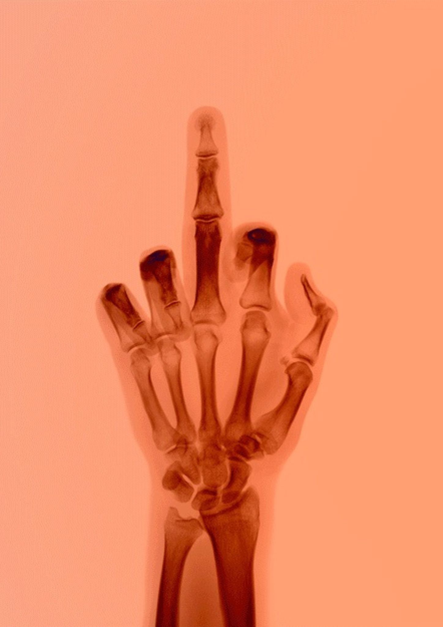 Nick Veasey, The Bird in Colour No 8 BM Nick Veasey, The Bird in Colour No 8 BM