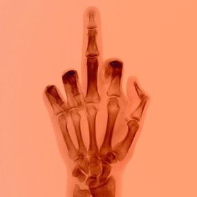 Photography, The Bird in Colour No 8 BM, Nick Veasey