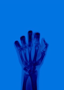 Photography, The Bird in Colour No 9 BR, Nick Veasey