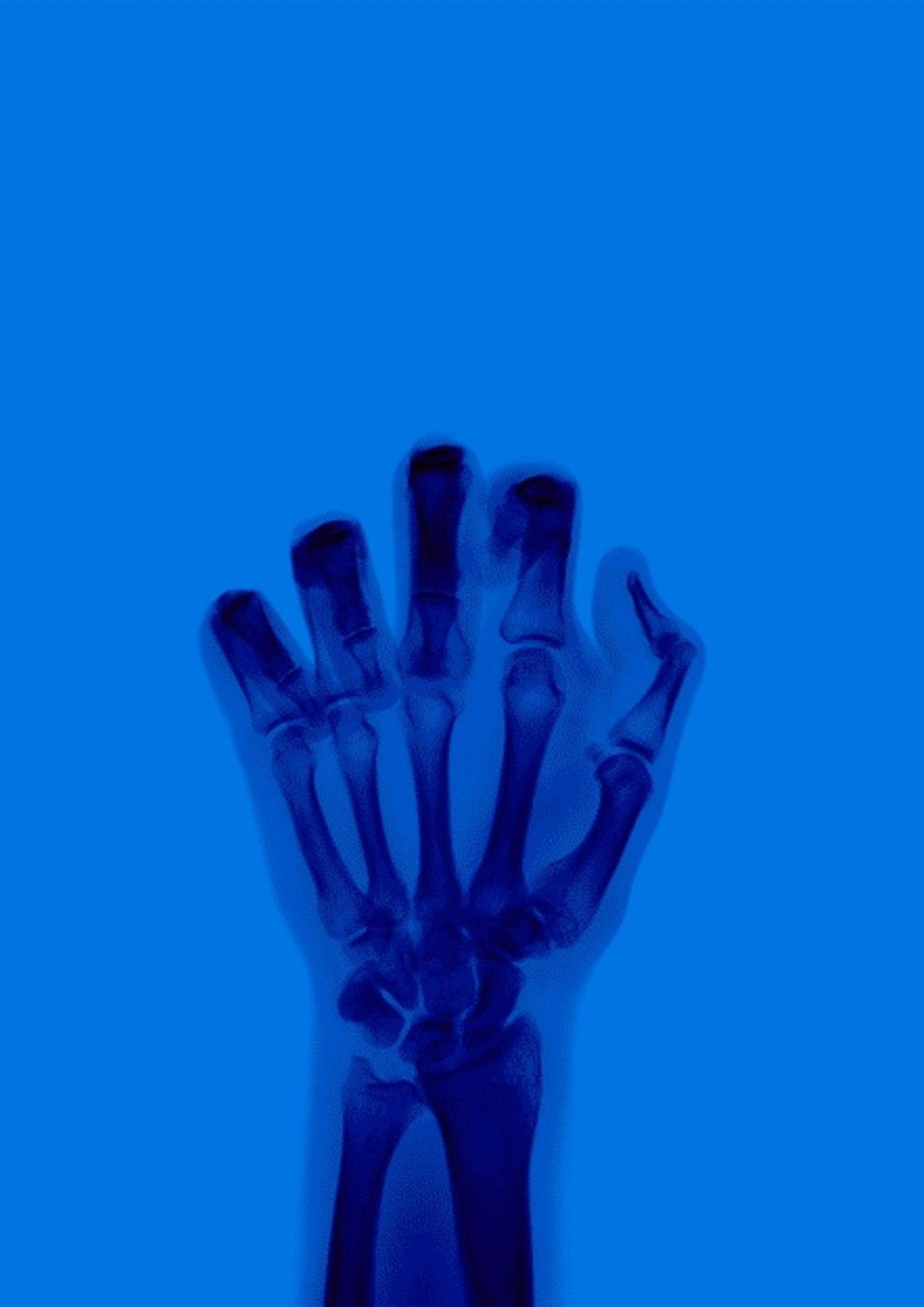 Nick Veasey, The Bird in Colour No 9 BR Nick Veasey, The Bird in Colour No 9 BR