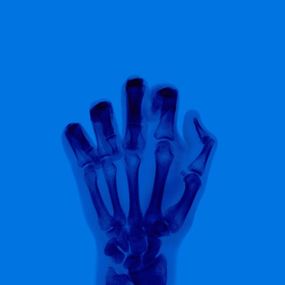 Photography, The Bird in Colour No 9 BR, Nick Veasey
