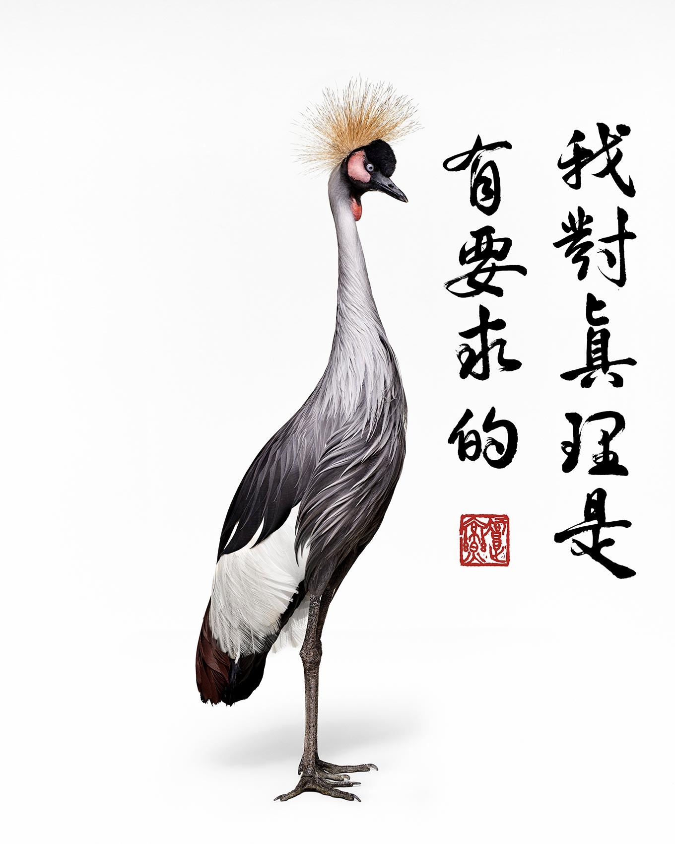 Randal Ford, African Crane Collaboration with Steven C. Rockefeller Jr. (M) Randal Ford, African Crane Collaboration with Steven C. Rockefeller Jr. (M)