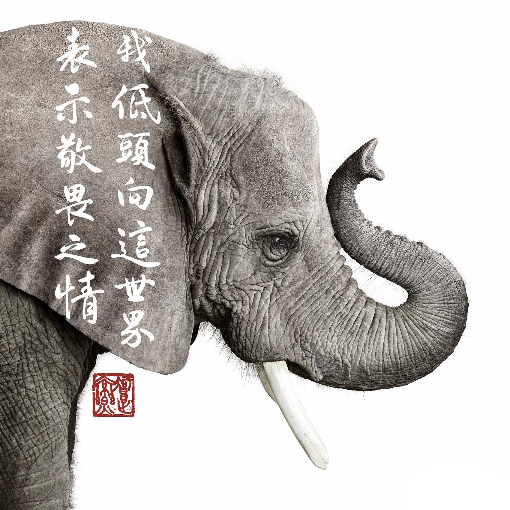 Randal Ford, African Elephant Collaboration with Steven C. Rockefeller Jr. (M) Randal Ford, African Elephant Collaboration with Steven C. Rockefeller Jr. (M)