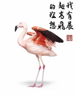 Photographie, Flamingo Take Flight Collaboration with Steven C. Rockefeller Jr. (L) (1), Randal Ford