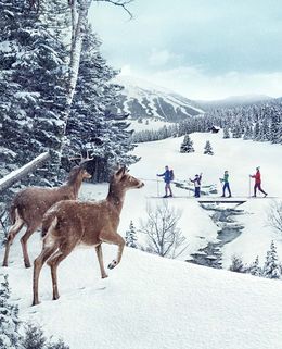 Photographie, Cross Country Sighting (S), Randal Ford