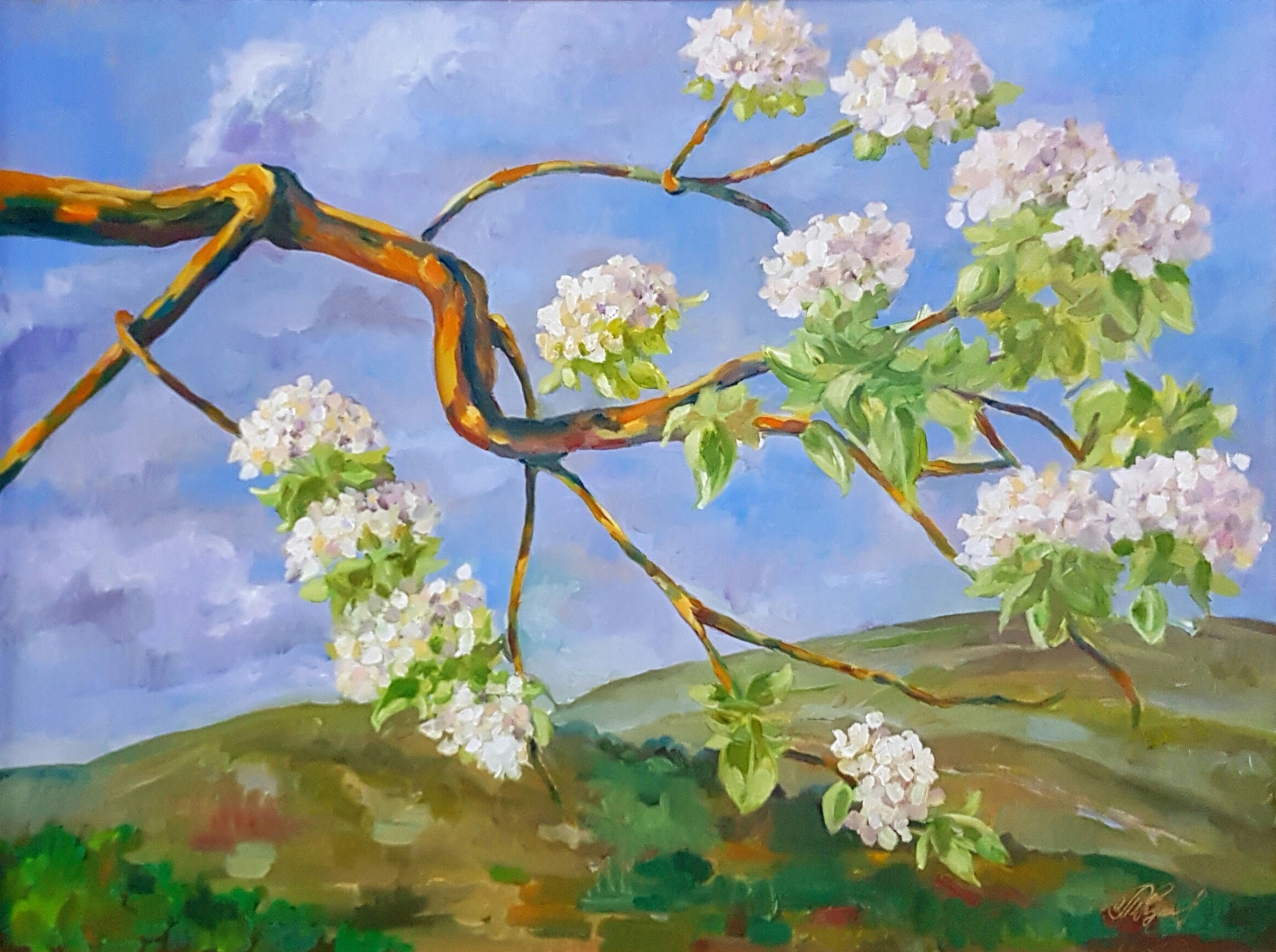 Tatiana Kyriakidou, Spring Tatiana Kyriakidou, Spring