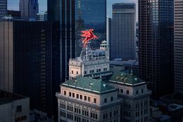 Photographie, The Pegasus Dallas, TX (S), Randal Ford