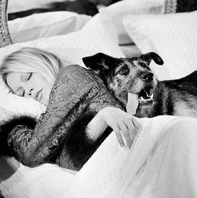 Photographie, Brigitte Bardot with Dog (Co-signed edition) (S), Terry O'Neill