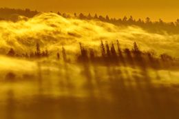 Photographie, Blended, Marek Pindroch