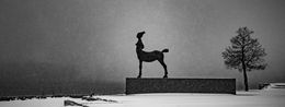 Photography, Neige eternelle, Olivier Morin