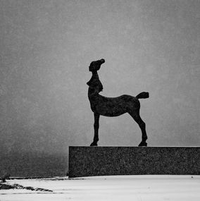 Photography, Neige eternelle, Olivier Morin