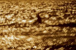 Photography, Baltique, Olivier Morin