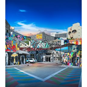 Fotografien, Wynwood 2014, Andrew Soria